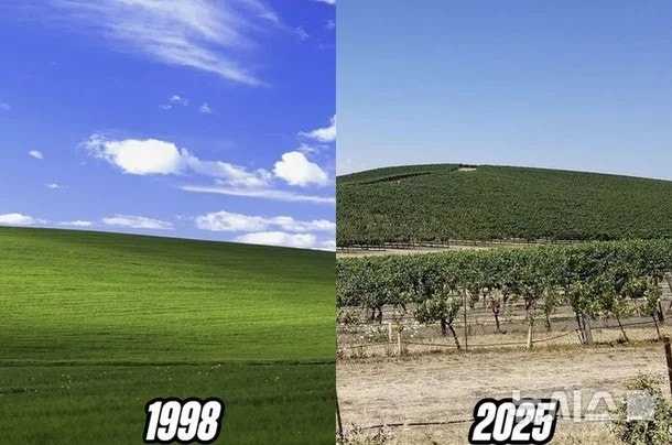 3f9a6d769d1a5c37e96ea037f407bee8-1.jpeg