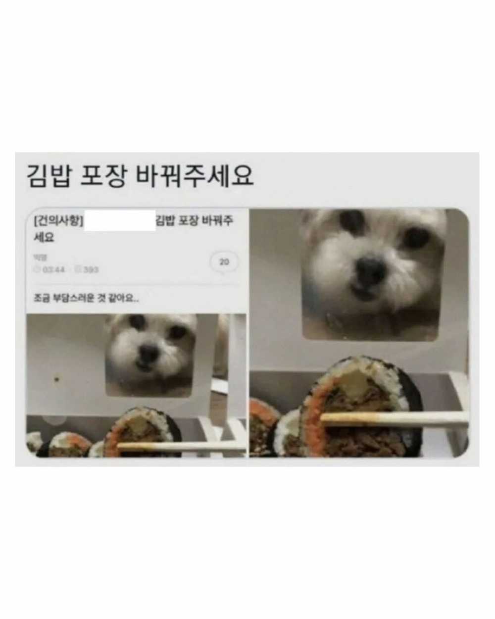 42a2eda89f10f14b48a24b03f9c437d9-3.jpeg