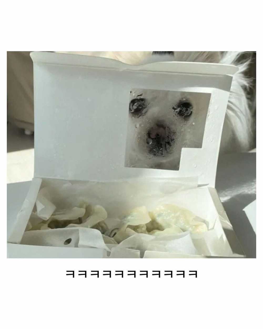 42a2eda89f10f14b48a24b03f9c437d9-7.jpeg