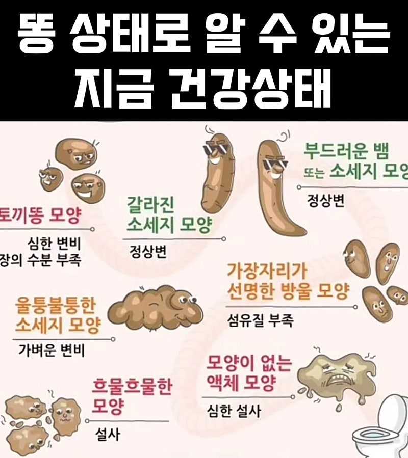응가 상태로 알 수 있는 지금 건강 상태