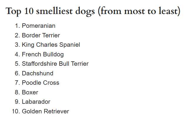 영국에서 연구한 방귀냄새가 심한 견종