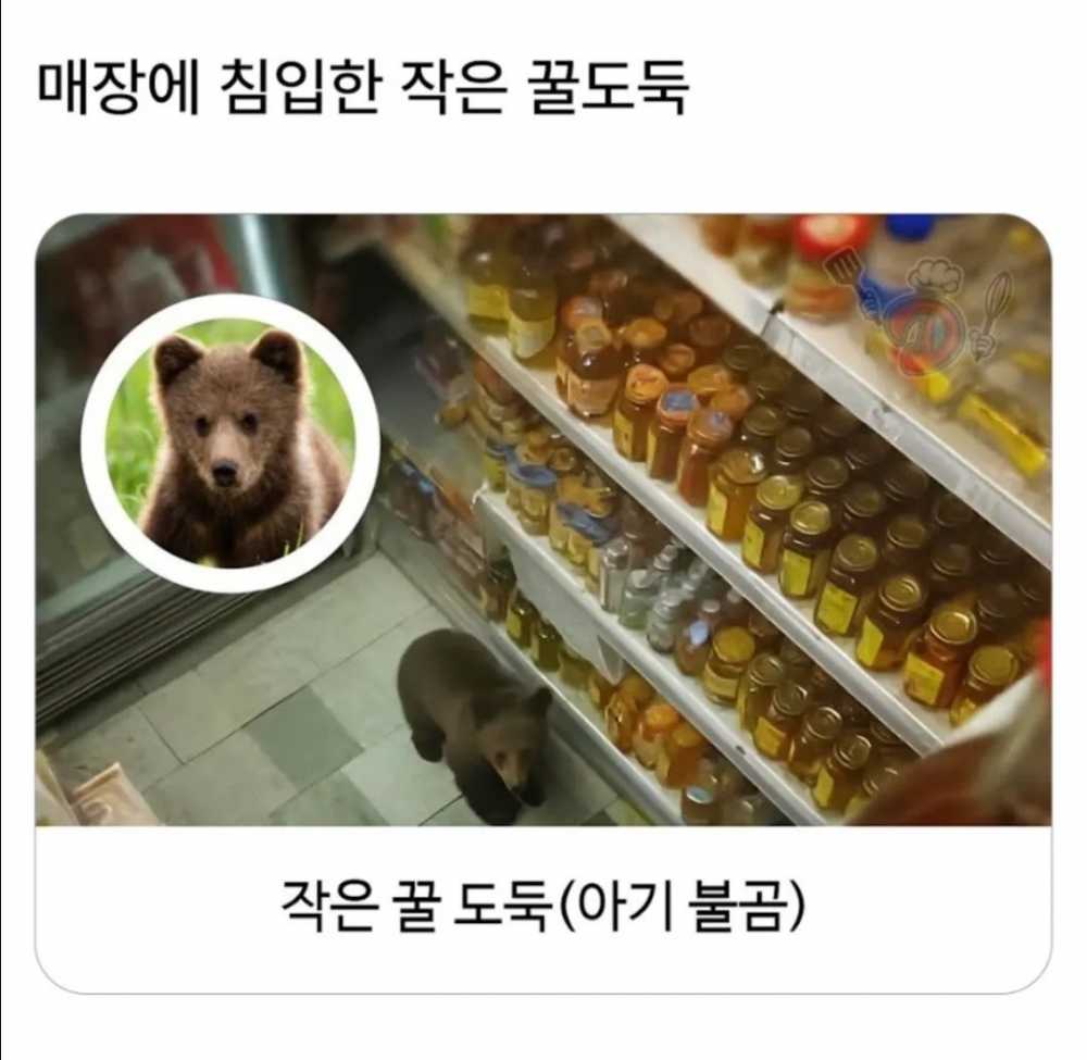 꿀 훔쳐먹던 도둑의 최후.jpg