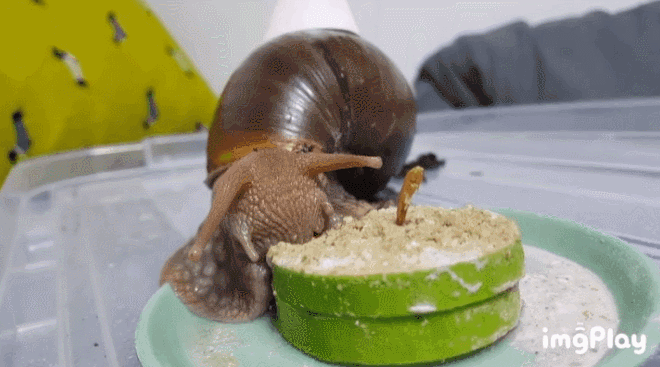 99e1a4e0a3e6fc9e6f781de7460fe866-4.gif